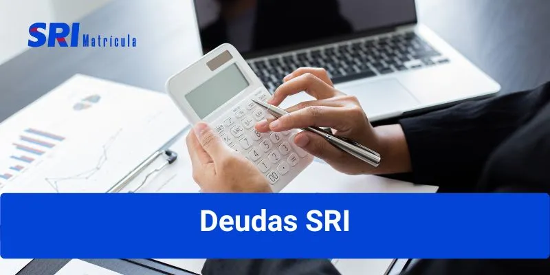 Consultar deudas SRI