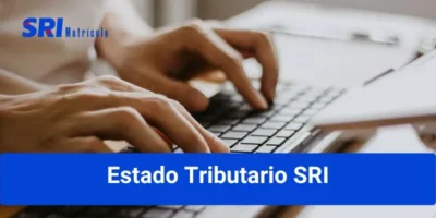 Consultar Estado Tributario SRI